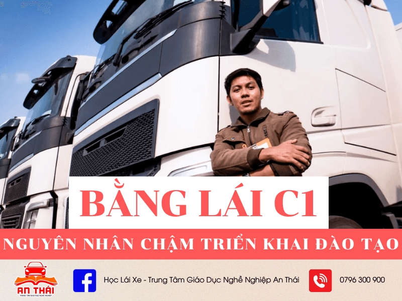 thông tin Giấy phép lái xe